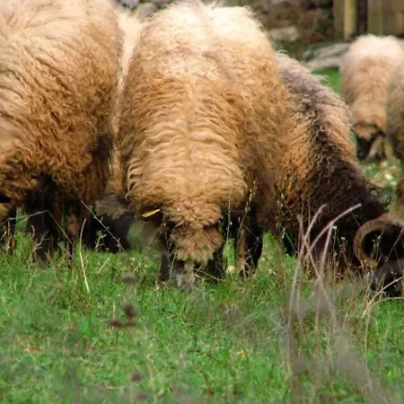 Appartamento Unique Retreat - Harmony With Private Pool Neoric